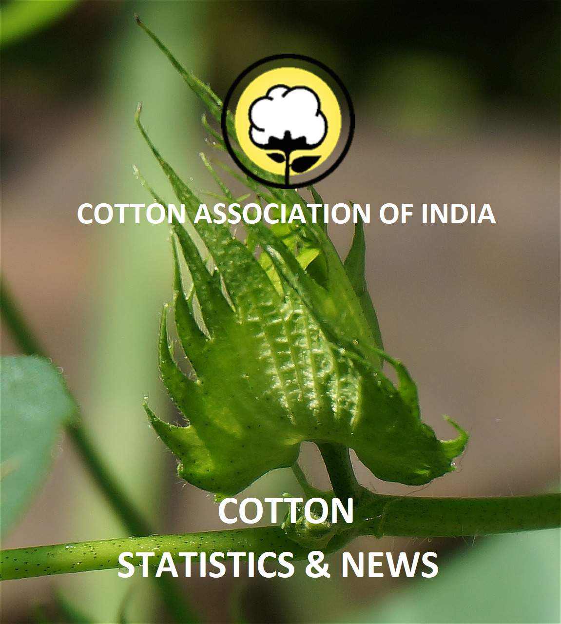 COTTON STATISTICS & NEWS